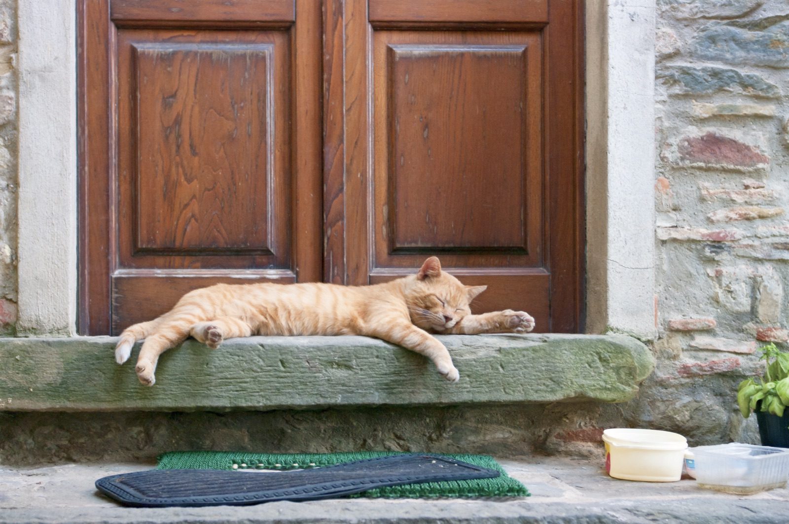 A ginger cat stretched out on a stone doorstep in Aramo
