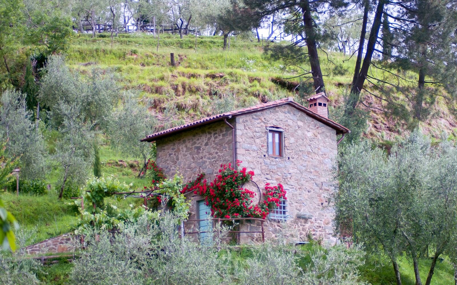 €1 houses in Tuscany: the honest truth (2026)