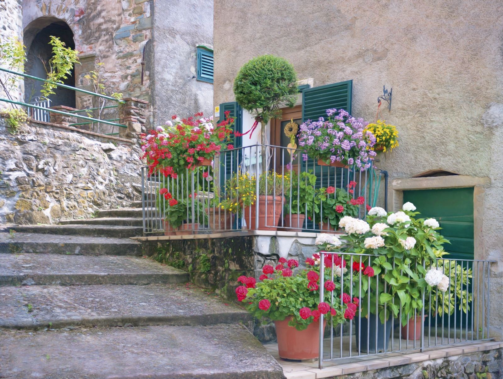 Stone steps in Castelvecchio lined with pots of red geraniums and white flowers