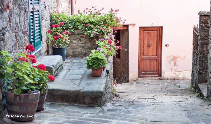 Flowers growing against old stone in Fibbialla