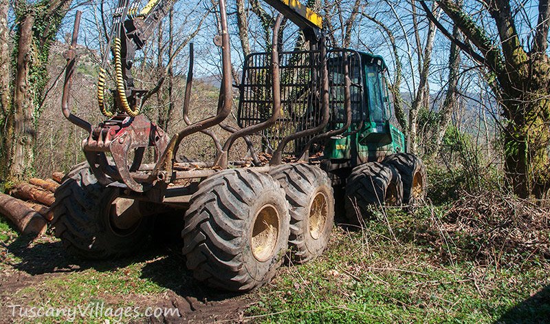 A forestry tractor and trailer among the trees in the chestnut woods