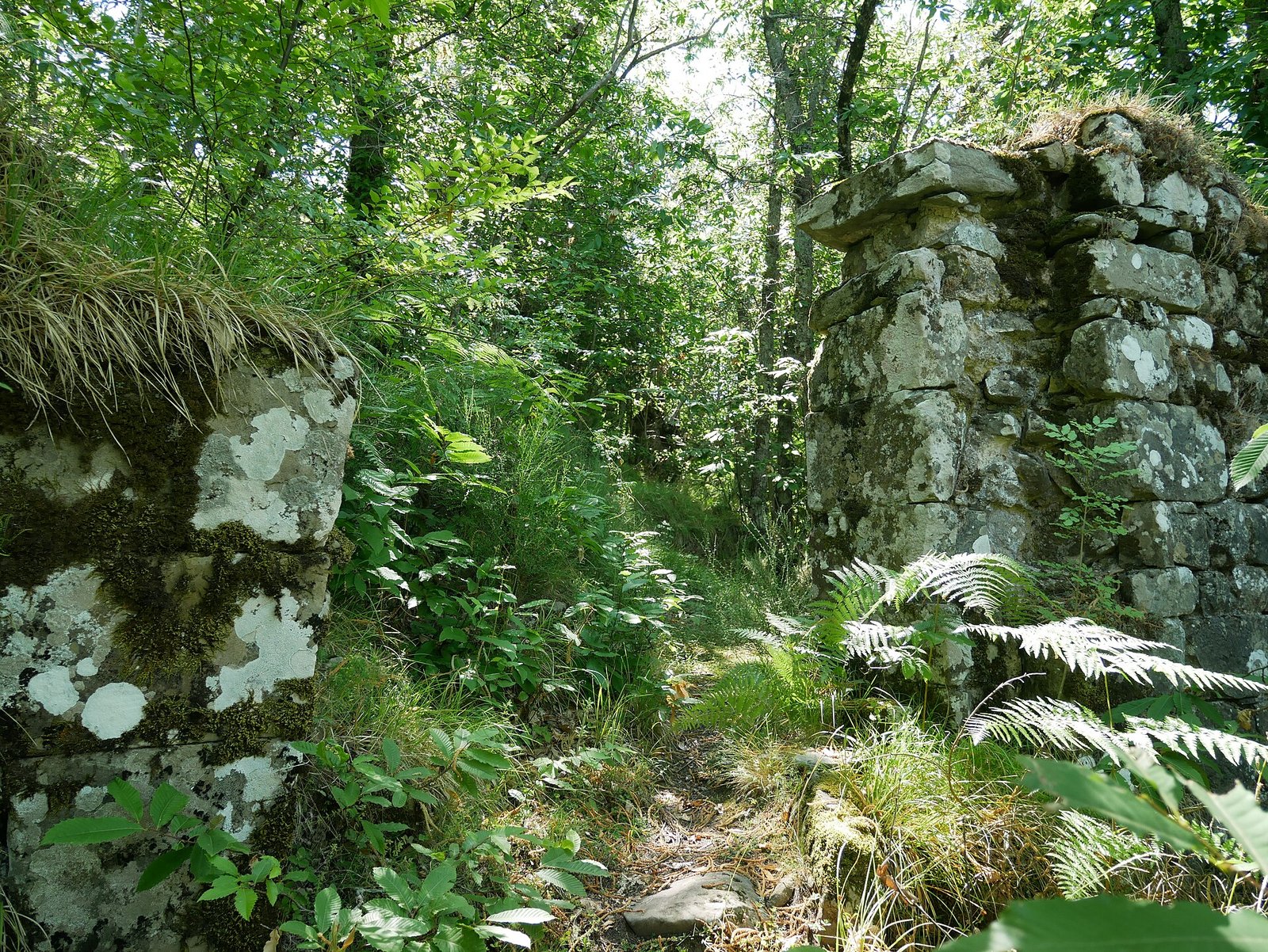 Ruined stone walls of the old gateway of Lignana among the trees