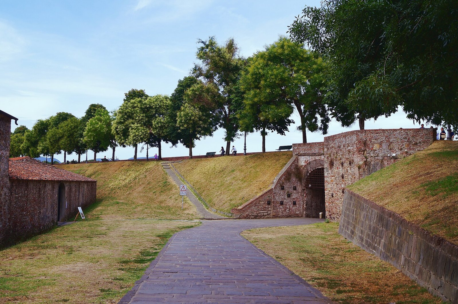 A wide path lined with tall plane trees running along the top of the Lucca city walls