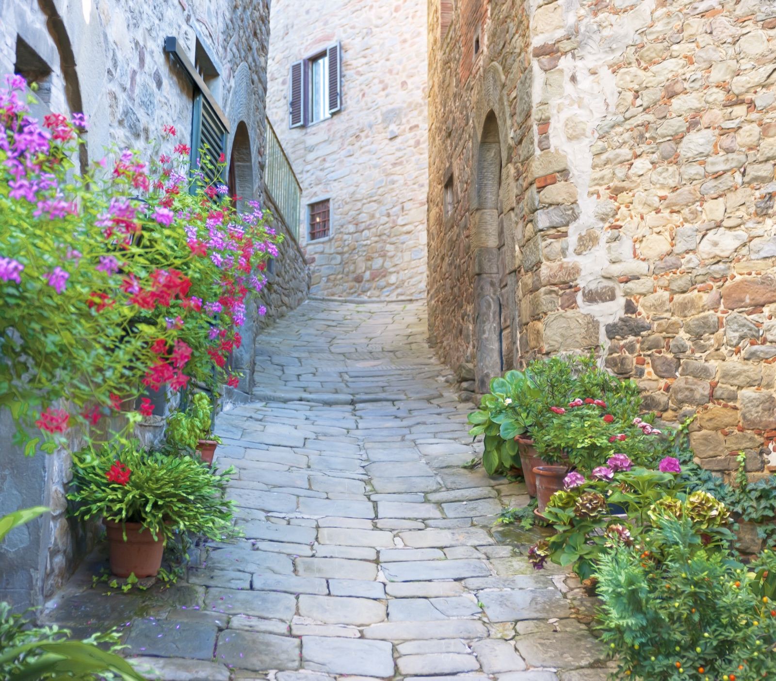 A narrow stone lane in Medicina lined with flowers