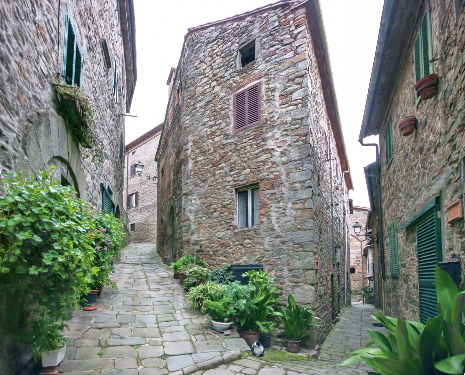 A narrow stone-paved lane climbing between old stone houses and greenery in Medicina
