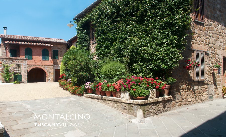 A sunny corner of Montalcino with stone houses, ivy and red flowers
