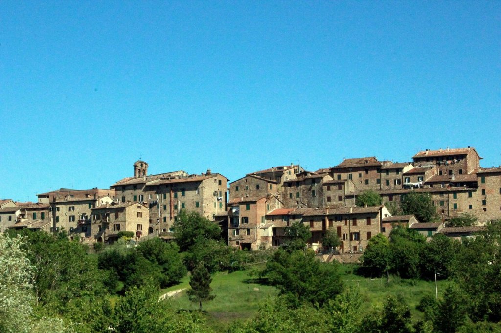 The hill village of Monticiano surrounded by woods in the Val di Merse