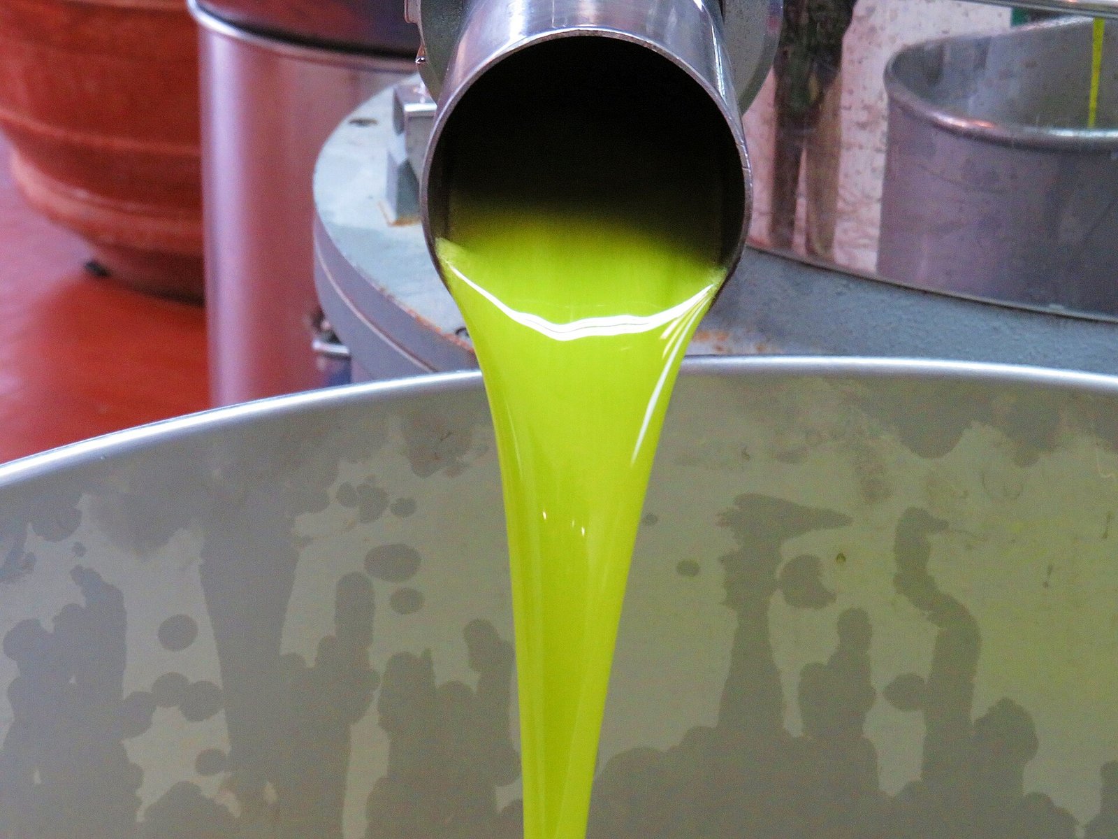 Bright green new olive oil pouring from a spout at an olive mill