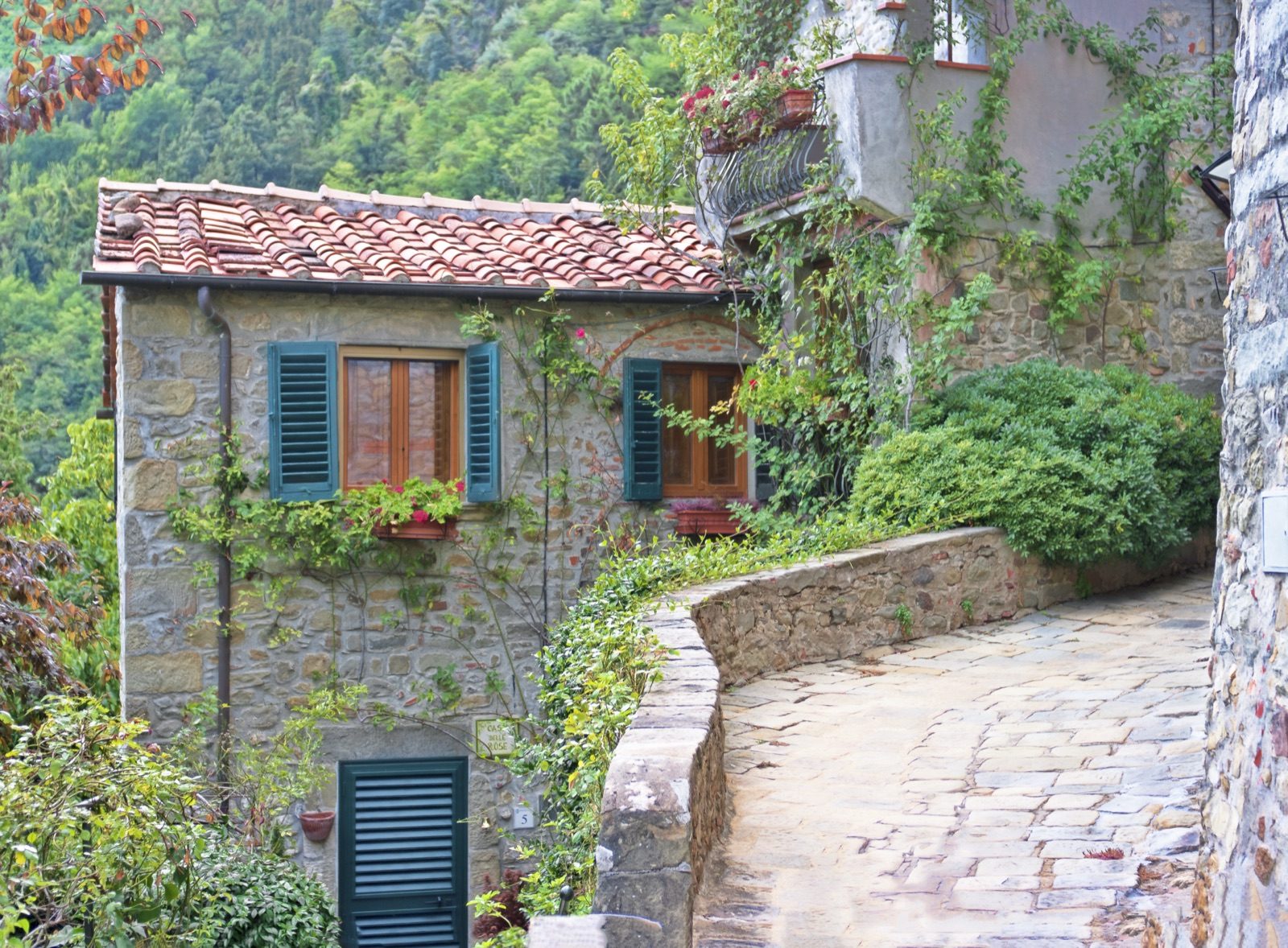 A stone cottage with blue shutters beside a curving stone lane in Pietrabuona