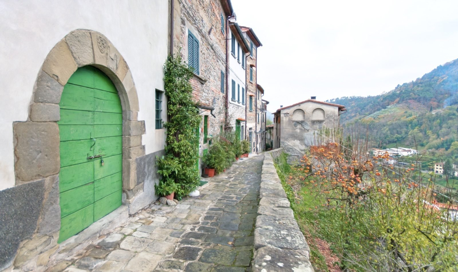 A green door in a stone arch beside a narrow lane in Pietrabuona, with the hills behind