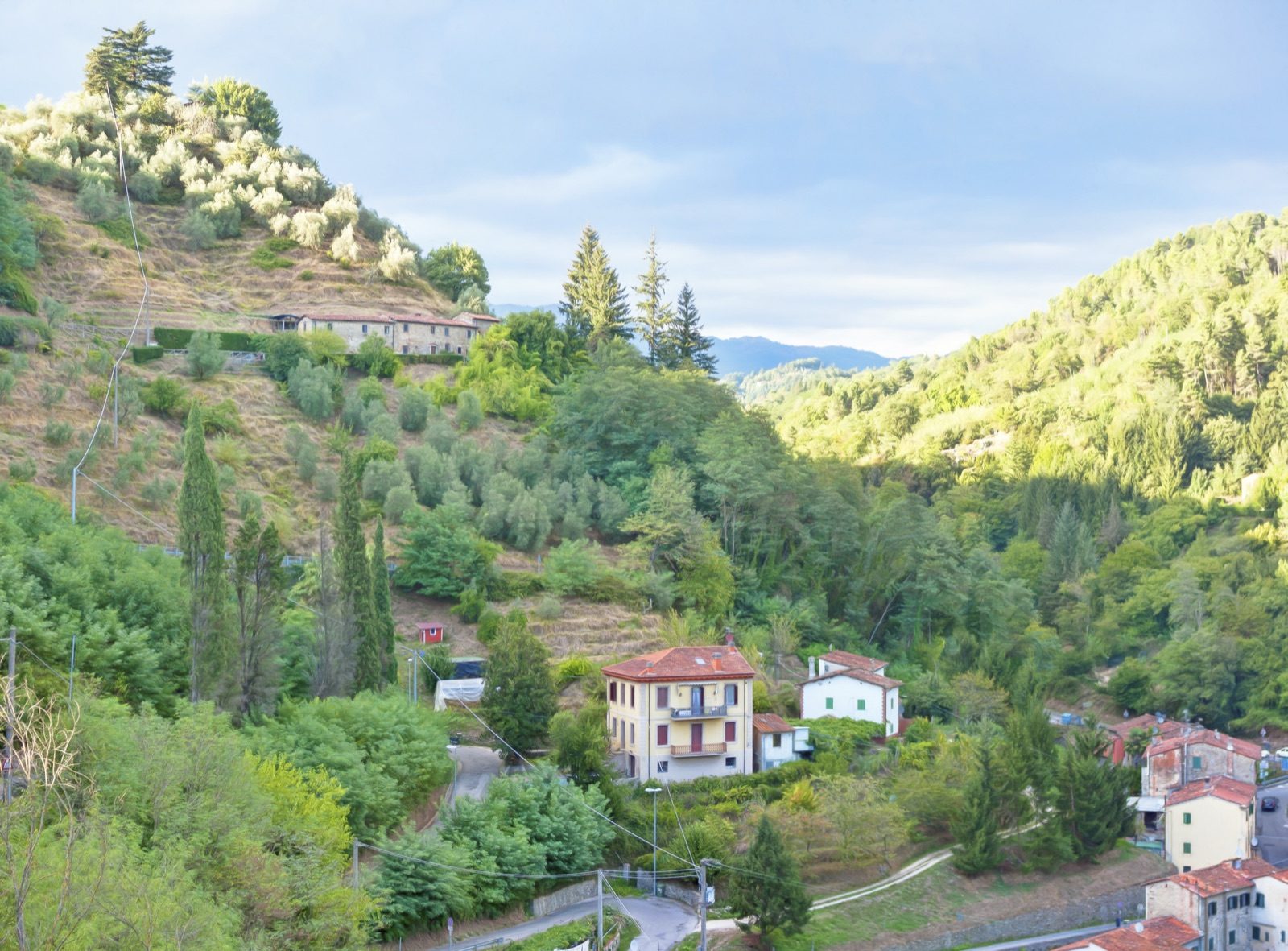 Houses dotted across the green wooded hillside around Pietrabuona