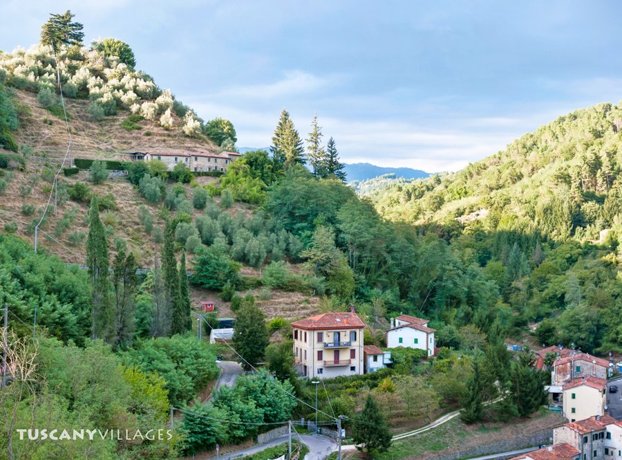 The village of Pietrabuona above green wooded hills