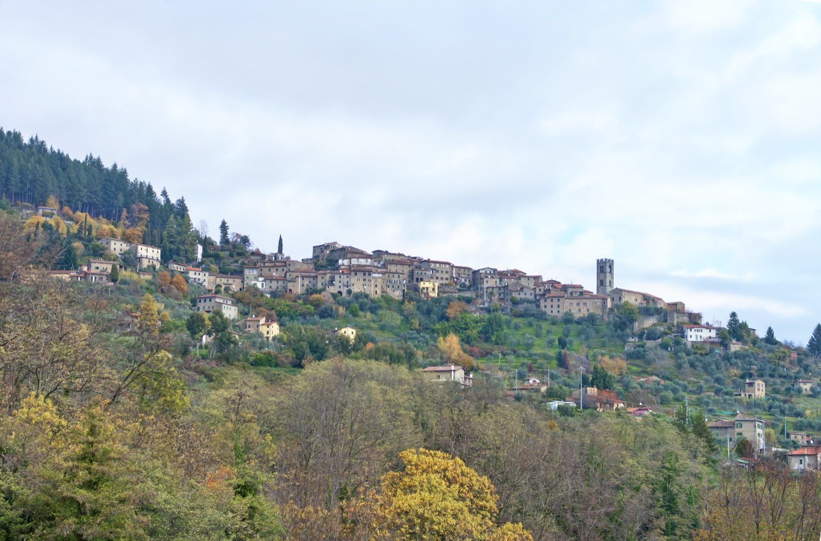 The bell tower and houses of San Quirico on a green hillside