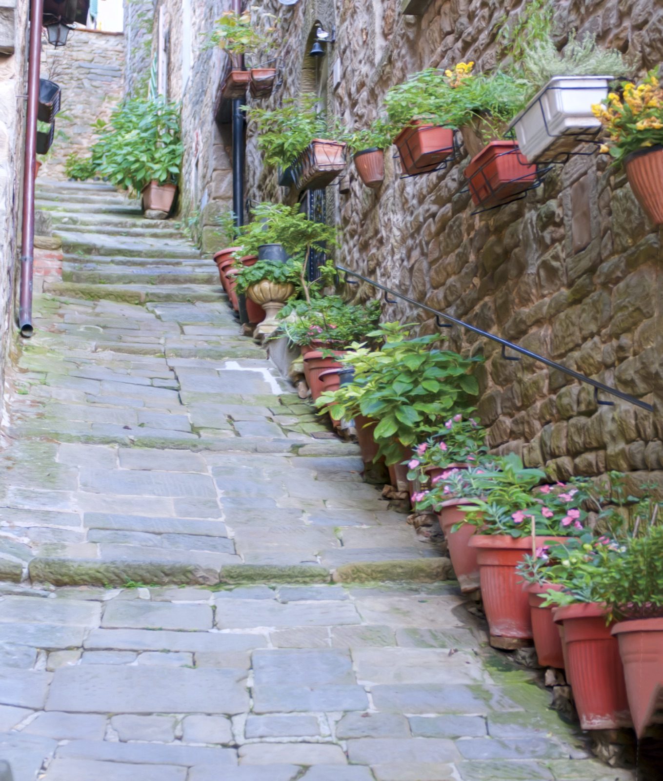 Stone steps in Vellano lined with pots of red and pink flowers