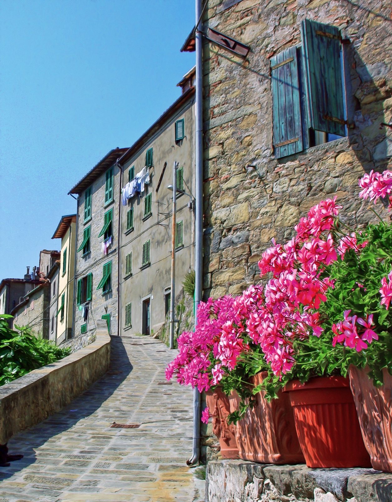 Pink geraniums spilling out of pots in a narrow stone lane in Vellano